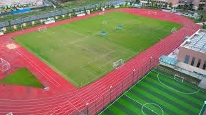 法兰克福vs多特蒙德：堂安律、克瑙夫首发